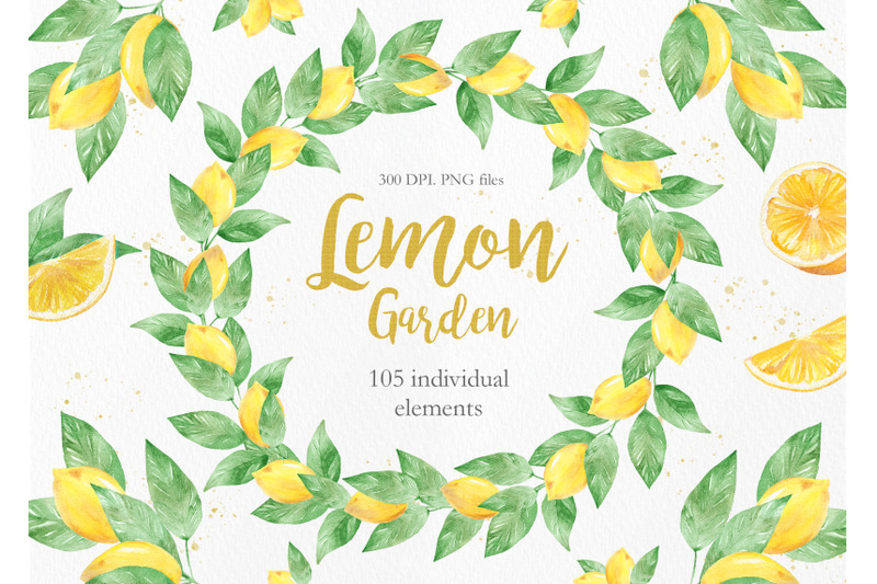 Watercolor Lemon Clipart Collection By Tania Lerro | TheHungryJPEG