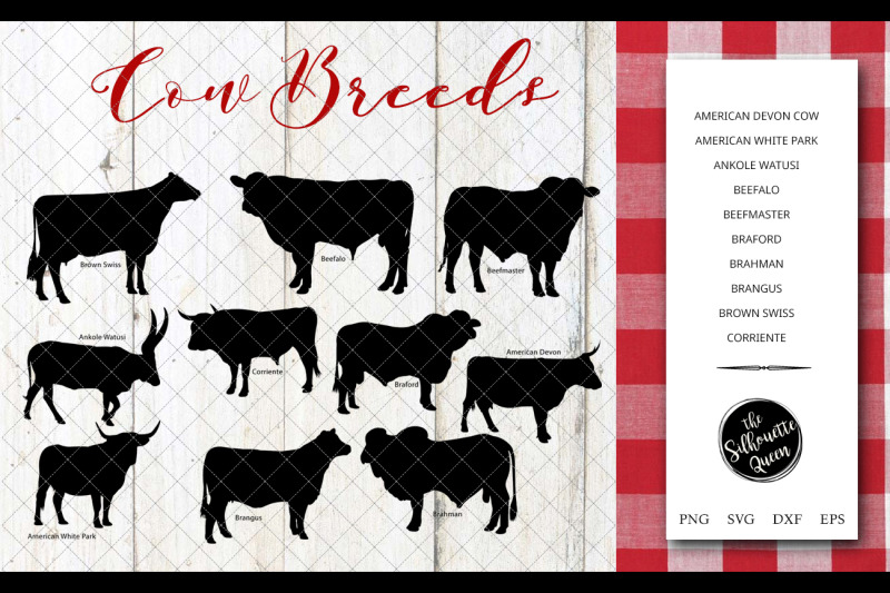 Download Cow Breeds Silhouette Vector svg file, cow svg cut file ...