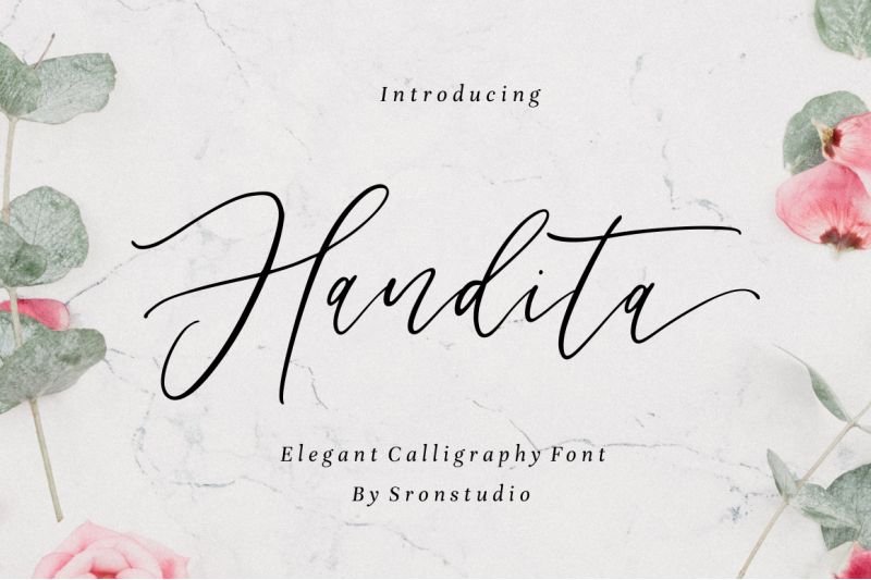Handita Calligraphy Font By Sronstudio Thehungryjpeg Com