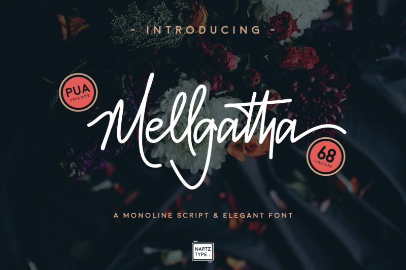 Mellgatha Monoline Script By Nartztype Thehungryjpeg Com