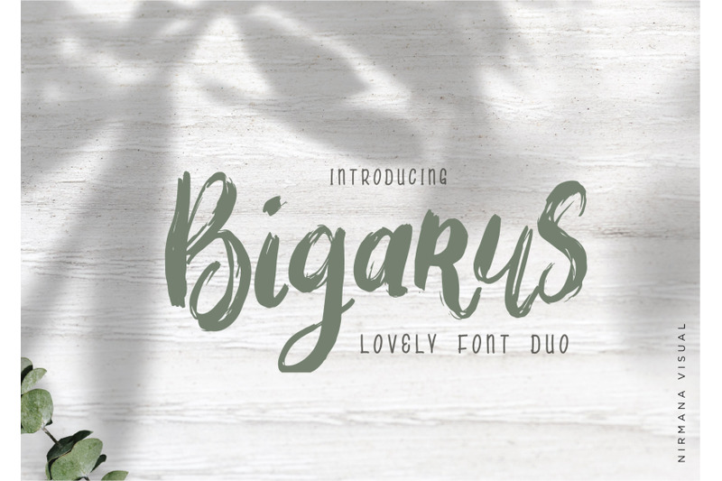 Bigarus Font Duo By Nirmana Visual Thehungryjpeg Com