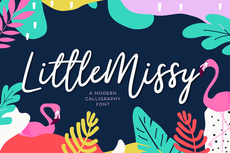 Littlemissy A Modern Script Font By Typefairy Thehungryjpeg Com
