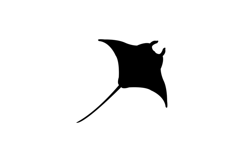 Manta fish icon By Marco Livolsi | TheHungryJPEG