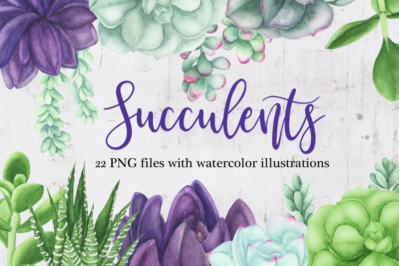 Watercolor Succulents Clipart By Plants and other | TheHungryJPEG