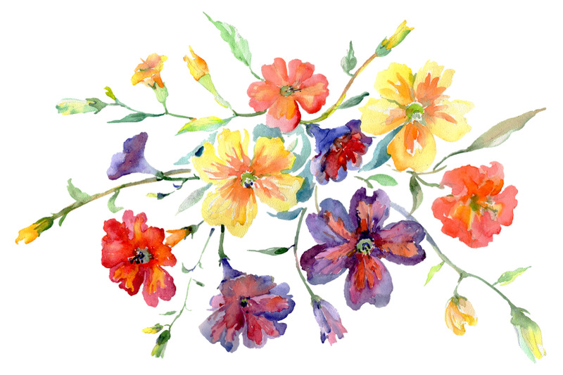 Bouquet flower boom watercolor png By MyStocks | TheHungryJPEG