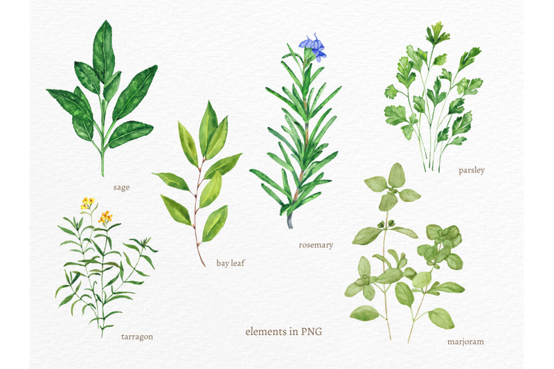 Watercolour decor, Watercolour wall art, Herbs prints, Herbs posters ...