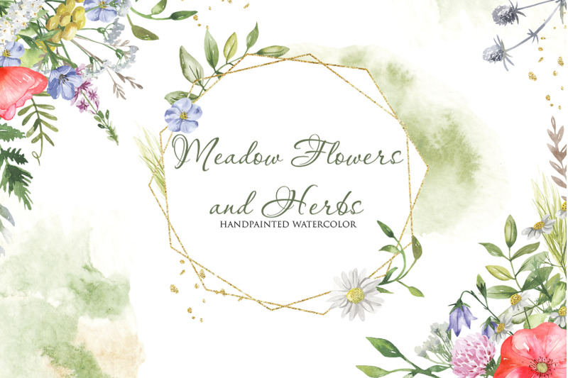 Meadow flowers and herbs. Watercolor collection By Marina Ermakova ...