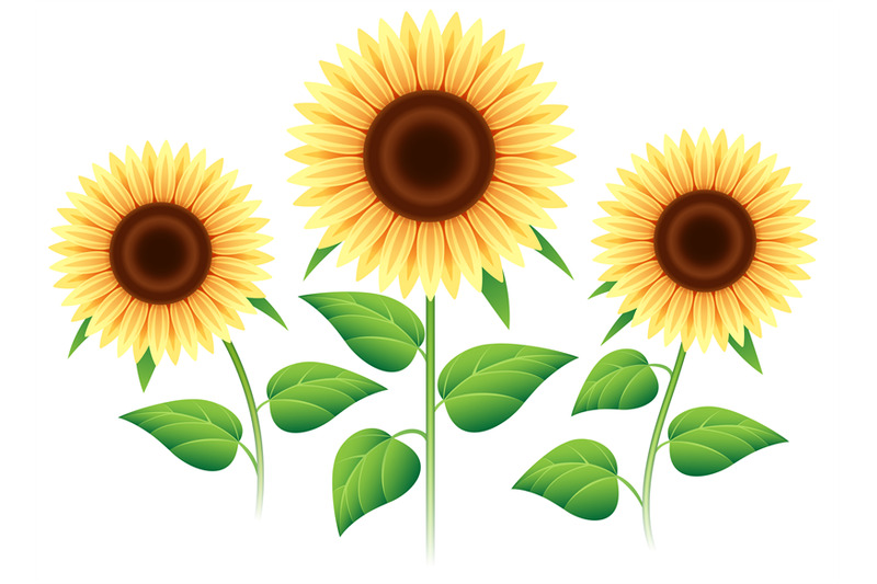 Sunflower cartoon icons set By vectortatu | TheHungryJPEG