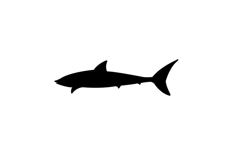 Shark icon By Marco Livolsi | TheHungryJPEG