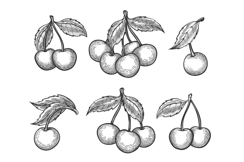 Cherry sketch icons set By vectortatu | TheHungryJPEG