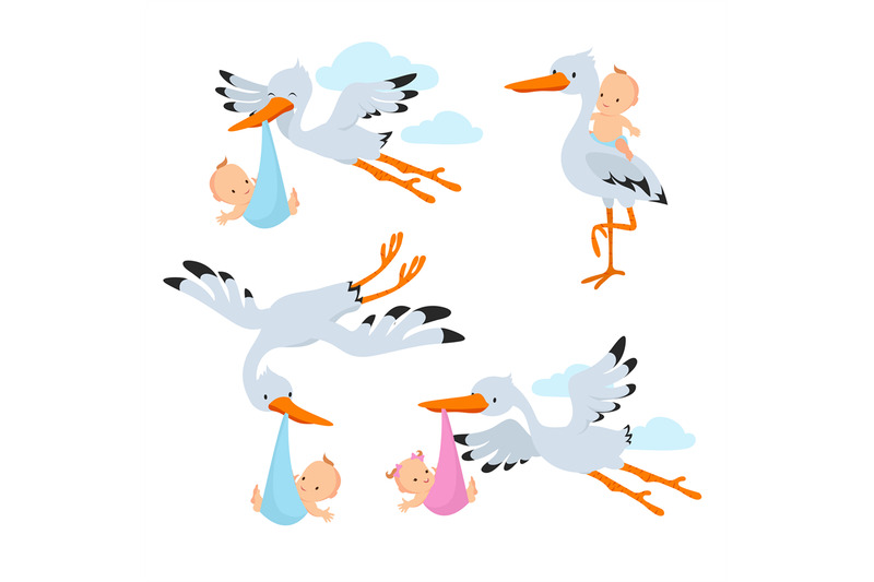 Cartoon flying storks and stork birds carrying baby vector set By  Microvector | TheHungryJPEG