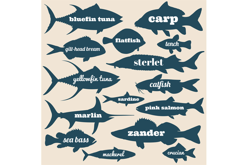 Ocean Fish Vector Silhouettes With Names Isolated On White Background By Microvector Thehungryjpeg Com
