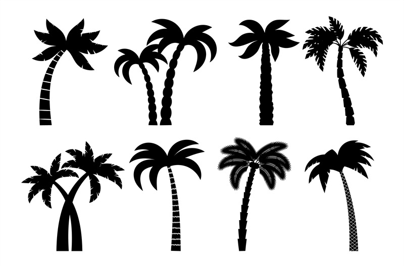 Palm tree black set By SmartStartStocker | TheHungryJPEG