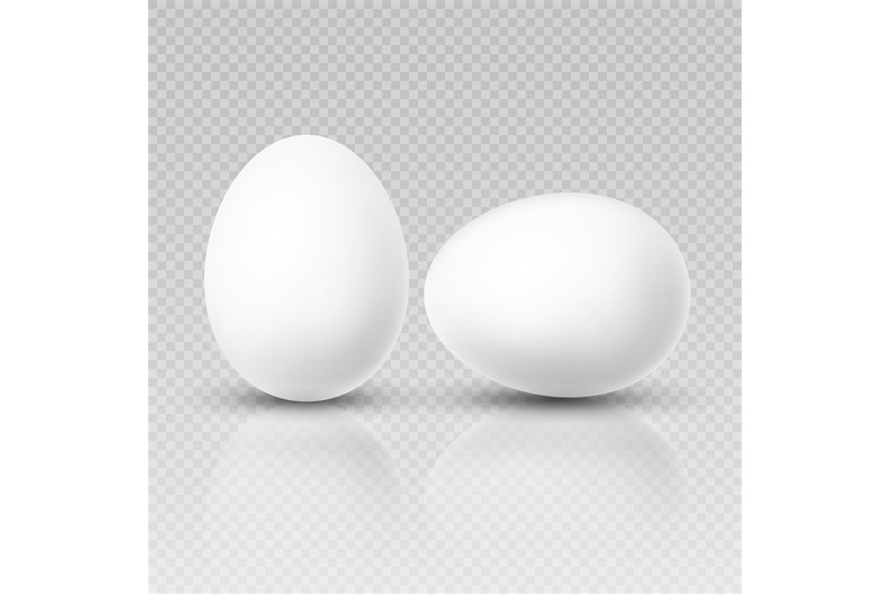 Realistic Chicken Egg Vector Template For Easter Decoration By
