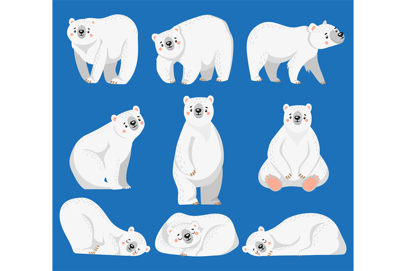 Cartoon polar bear. White bears, arctic wild animal and snow bear isol By  Tartila | TheHungryJPEG
