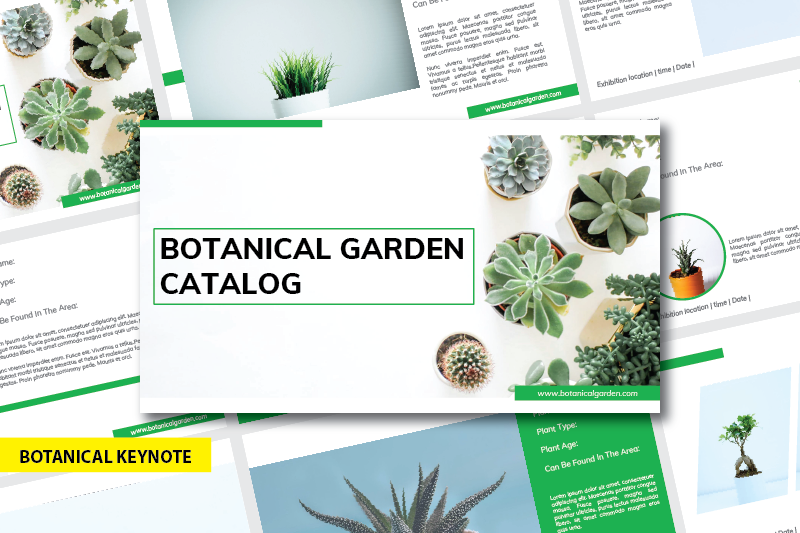 Botanical - Keynote Template By NirmalaGraphics | TheHungryJPEG