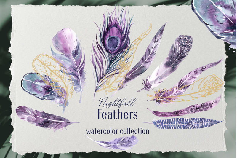 Nightfall Feathers Watercolor Clipart By Cat in Colour | TheHungryJPEG