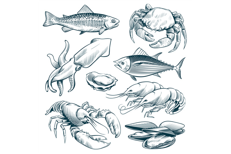 Sketch Seafood Lobster Shellfish Fish Shrimp Hand Drawn Seafoods Mea By Microvector Thehungryjpeg Com