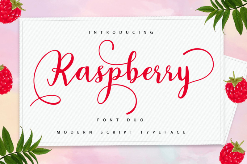 Raspberry Script Font Duo By Typehill | TheHungryJPEG