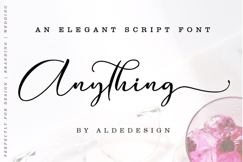 Anything || Beautiful Script By aldedesign | TheHungryJPEG