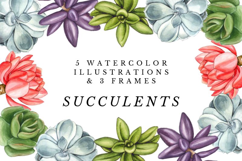 Download Watercolor Succulents By Old Continent Design Thehungryjpeg Com