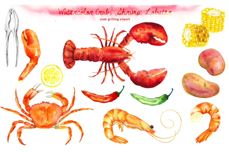 Watercolor Crab Shrimp Lobster Cliparts By Dorakatona Thehungryjpeg Com