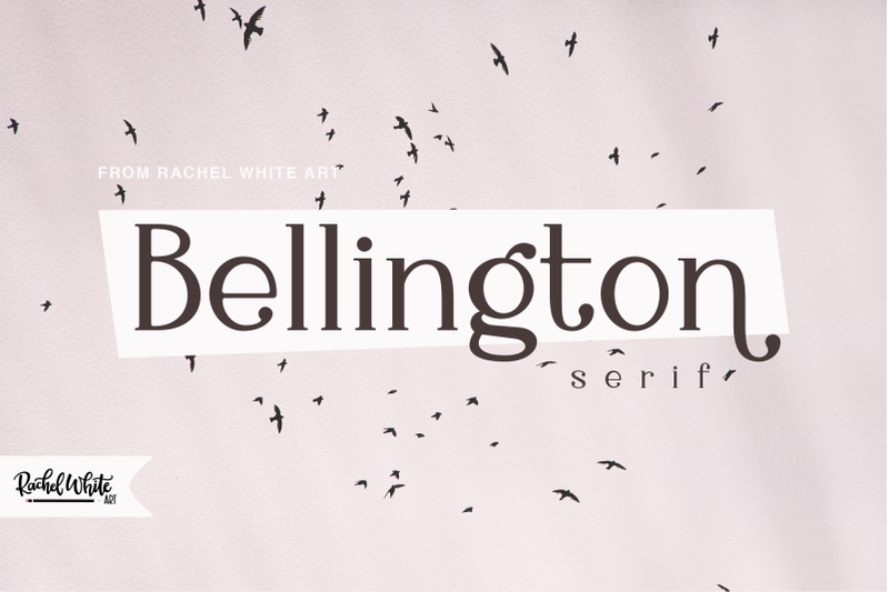 Bellington A Charming Serif Font By Rachel White Art Thehungryjpeg Com