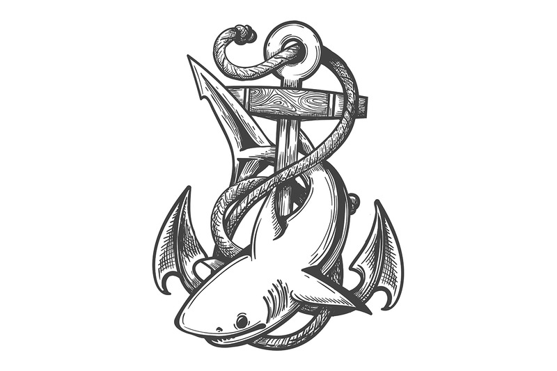 Emblem Of Shark And Anchor In Ropes Drawn In Tattoo Style Vector Illu By Olena1983 Thehungryjpeg Com