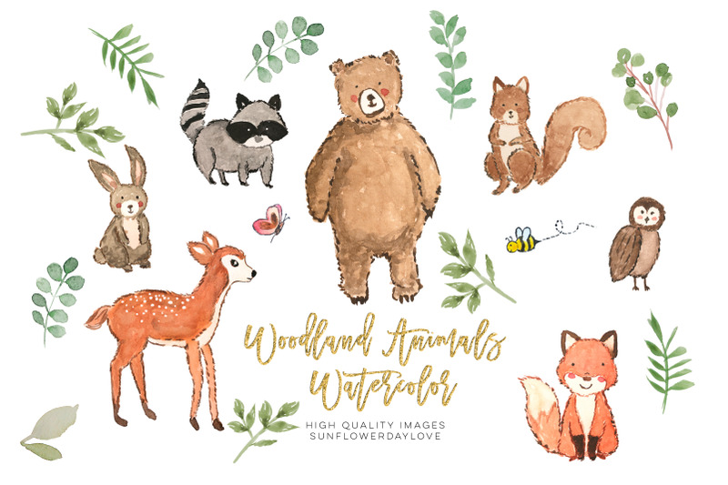 Nursery woodland watercolor clip art, Bear clipart, Owl clip art By ...