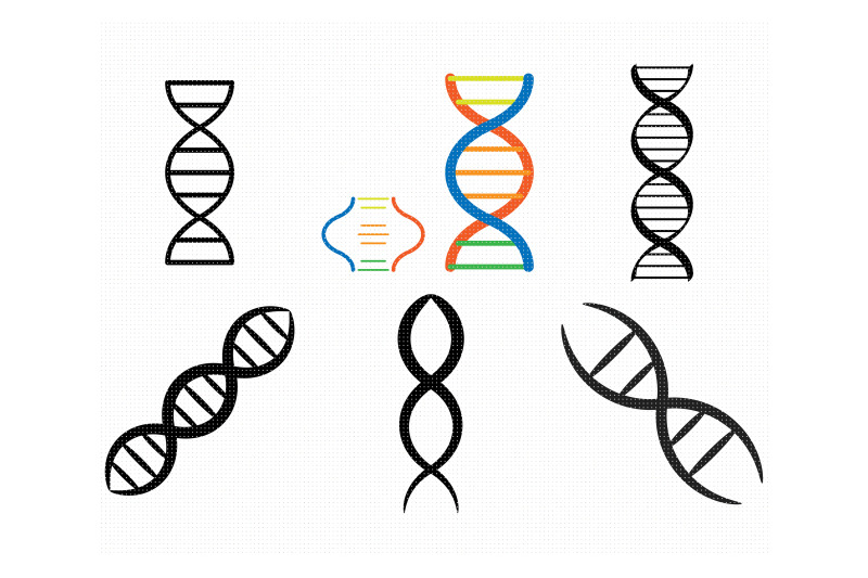 dna strand, genes, helix, chain svg, svg file, svg cutting file, dxf By ...