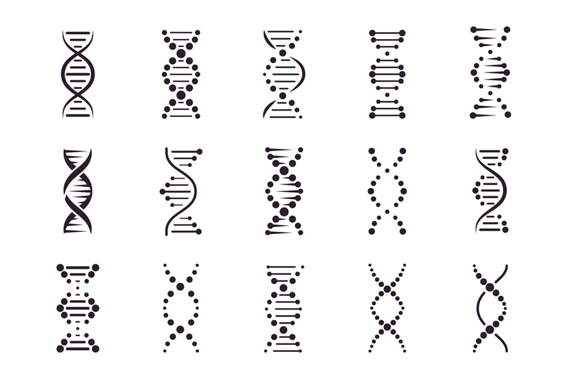 Dna Model Elements Chemistry Spiral Chromosome Structure Concept Gen By Winwin Artlab Thehungryjpeg Com