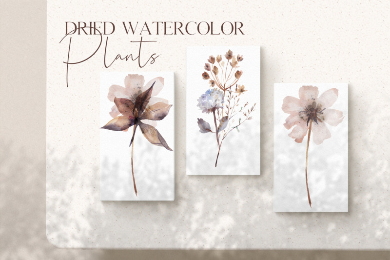 Watercolor dried plants By Kaleriiat | TheHungryJPEG