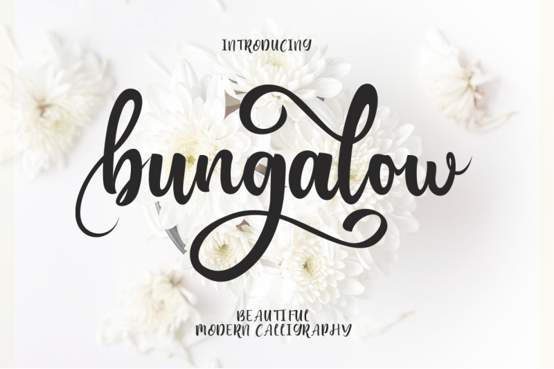 Bungalow Script By EmbunStudio | TheHungryJPEG