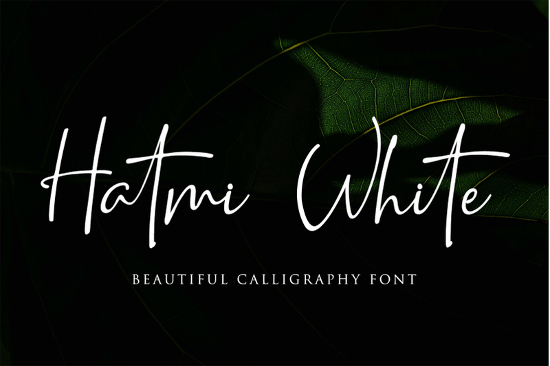 Hatmi White Signature Font By Letterbeary Thehungryjpeg Com