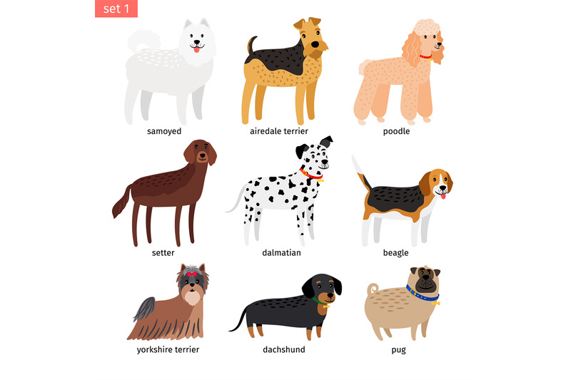 Dog breeds cartoon icon By SmartStartStocker | TheHungryJPEG