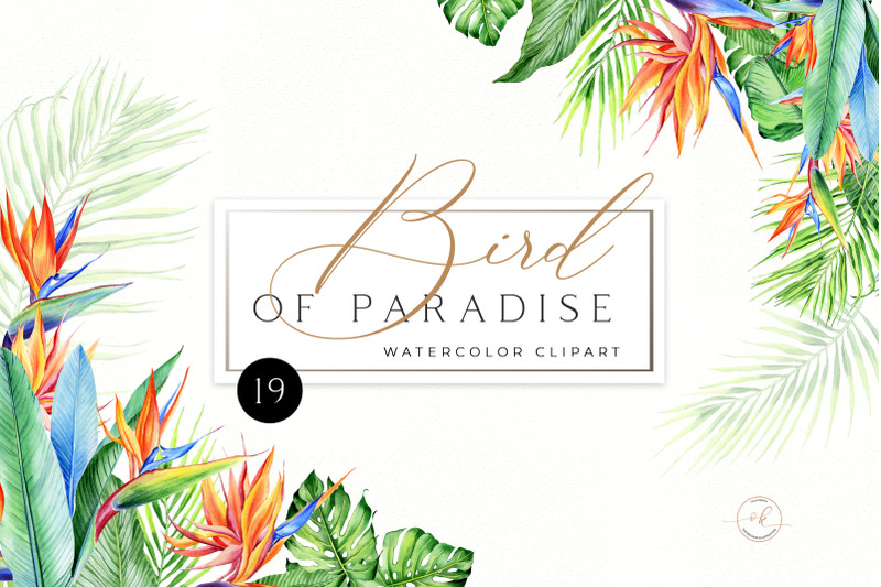 Watercolor Tropical Clip Art Png Hawaii Wedding Floral Clipart