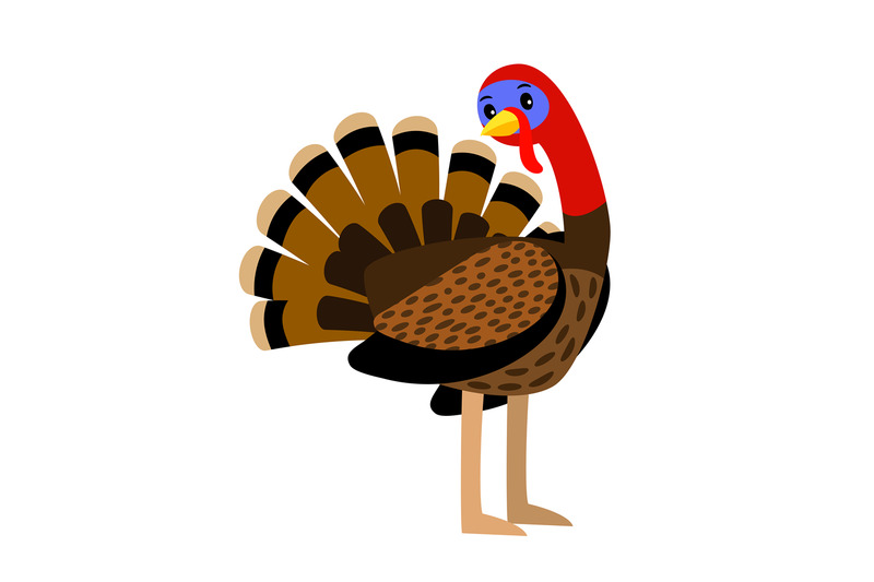 Premium Vector  Thanksgiving day traditional turkey