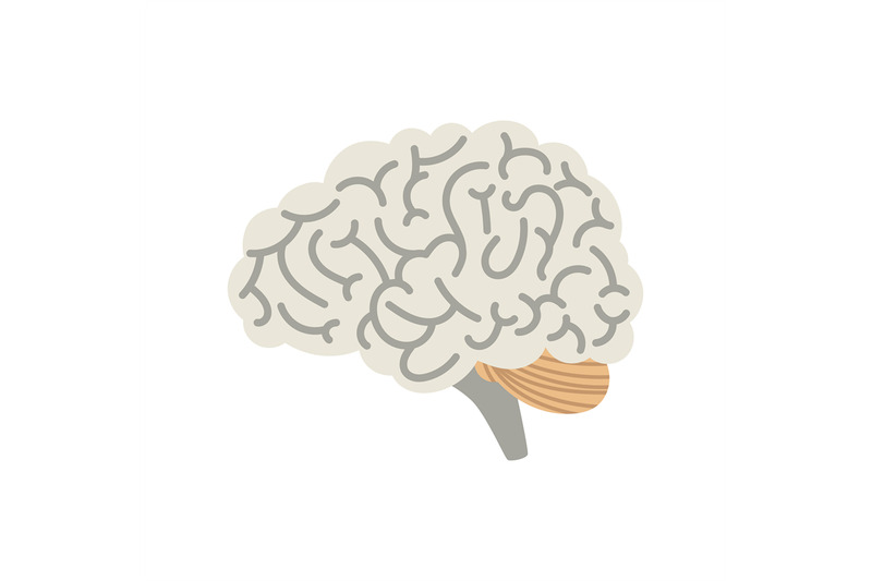 cartoon human brain