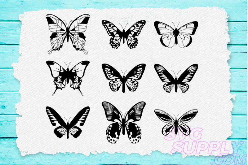 Butterfly Lineart SVG Bundle By cuttingsvg | TheHungryJPEG.com