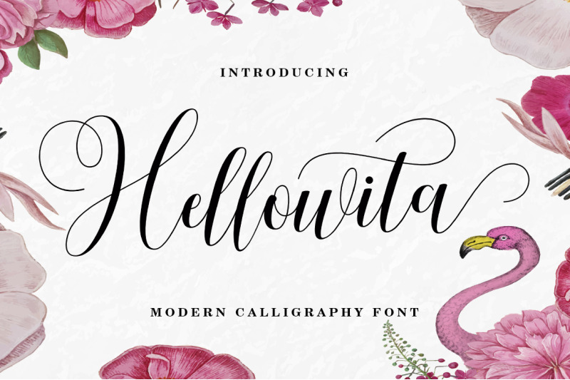 Hellowita Script By Madjack Studio | TheHungryJPEG