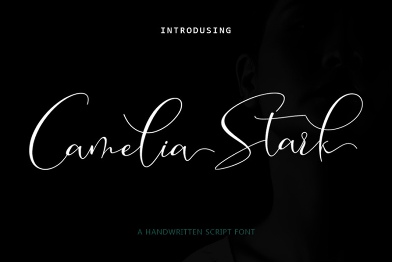 Camelia Stark Script By molletter | TheHungryJPEG