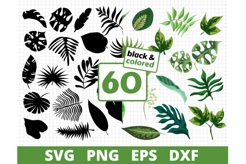 Download LEAVES COLORED & SILHOUETTE SVG BUNDLE | Leaves cricut ...