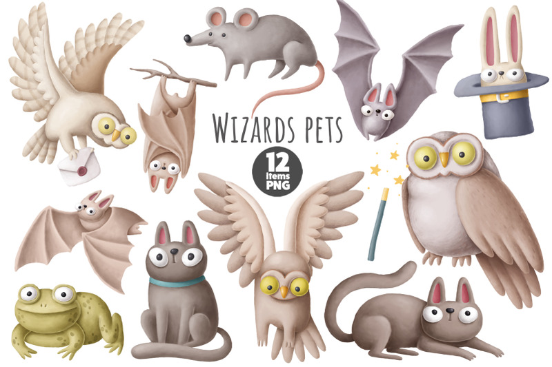 Wizard animals