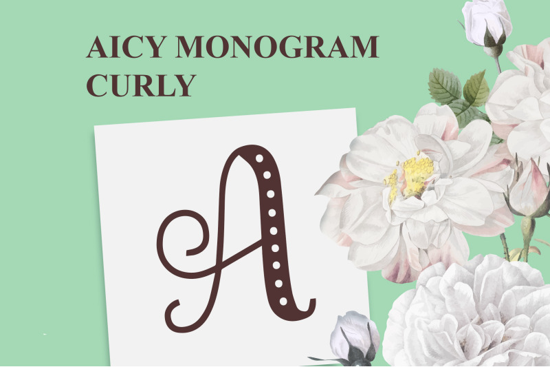 Aicy Monogram Curly By Typefar Thehungryjpeg Com