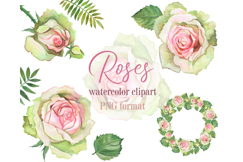 Watercolor Roses Clipart. Spring and delicate floral clipart with rose ...