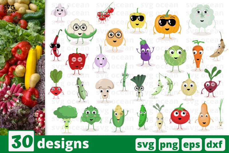 30 Vegetables Svg Bundle Food Cricut Svg By Svgocean Thehungryjpeg