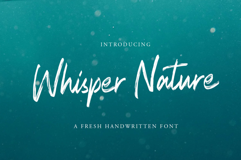 Whisper Nature Brush Script Font By Arendxstudio Thehungryjpeg Com