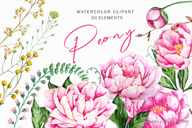 Peonies Watercolor Flowers Clipart By SvetaArtLana | TheHungryJPEG