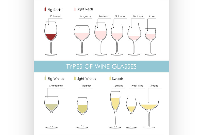 types of wine glasses By Netkoff | TheHungryJPEG