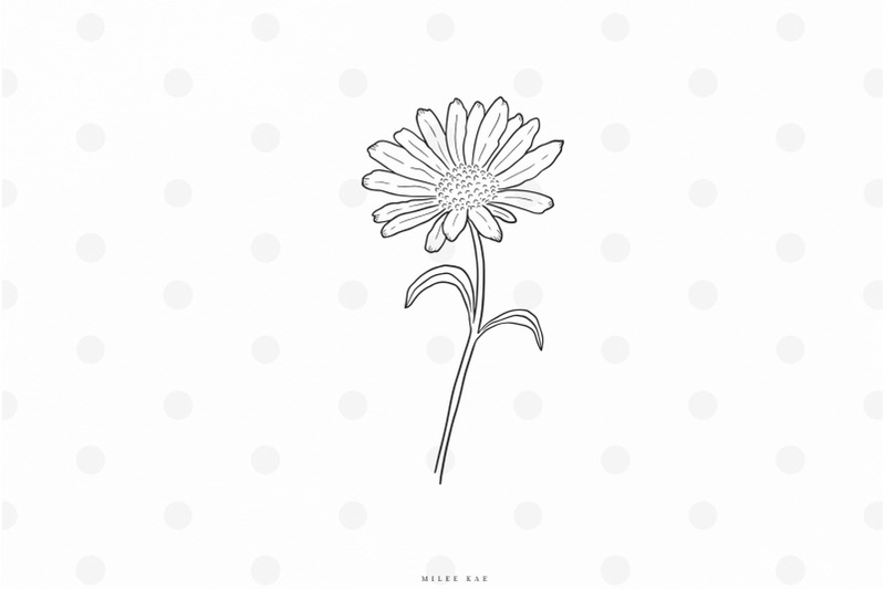 Download Download Free Svg Files Creative Fabrica Daisy Flower Svg Free